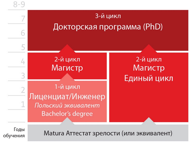 Структура образования в Польше