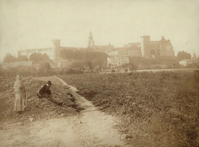 Замок на Вавеле, примерно 1880 год