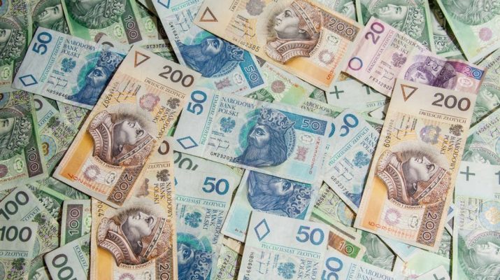 Польские деньги: какая валюта в Польше